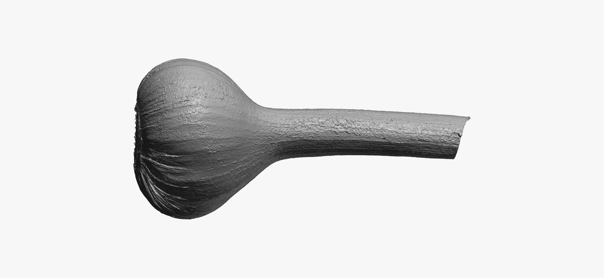 hardneck garlic 03 raw model https://p.turbosquid.com/ts-thumb/2E/7cLAaH/1p7LUaTj/hardneckgarlic03thumbnail12/jpg/1606408250/1920x1080/fit_q87/57d9083a2ffa73b029d1041dda5499e8efc01798/hardneckgarlic03thumbnail12.jpg