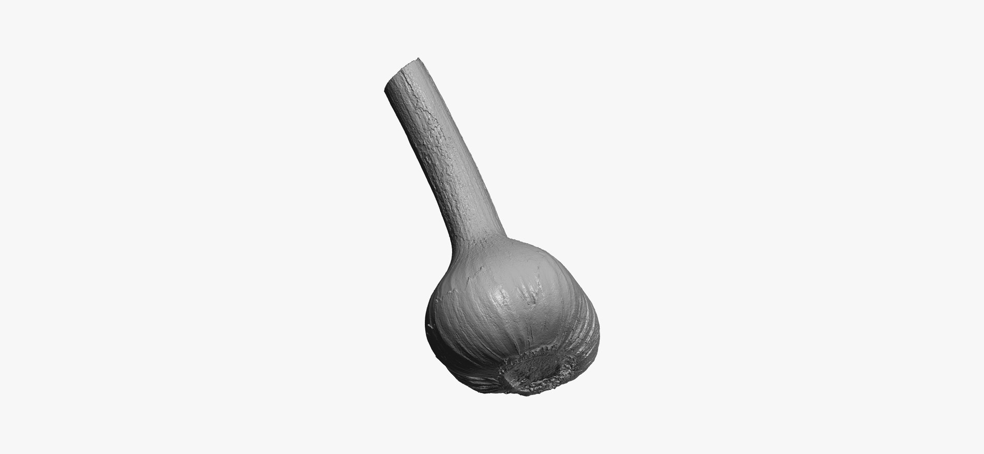 hardneck garlic 03 raw model https://p.turbosquid.com/ts-thumb/2E/7cLAaH/G3LNrCnj/hardneckgarlic03thumbnail05/jpg/1606408249/1920x1080/fit_q87/24c7d34c4f530949049e711b1ae1d82cda1ca021/hardneckgarlic03thumbnail05.jpg