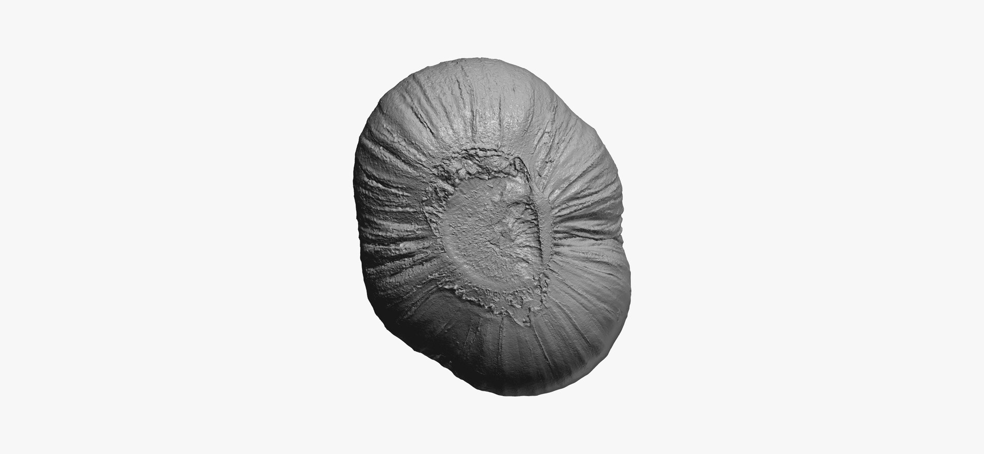 hardneck garlic 03 raw model https://p.turbosquid.com/ts-thumb/2E/7cLAaH/NLvhc5cz/hardneckgarlic03thumbnail10/jpg/1606408250/1920x1080/fit_q87/5807cbe125d510fc67cdcc25ba7fec90603c0299/hardneckgarlic03thumbnail10.jpg