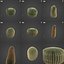 2021PBRバレルサボテンコレクション-EchinocactusAcanthodes
