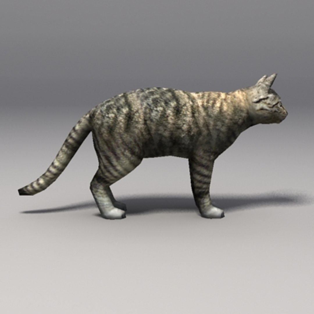 3d cat model