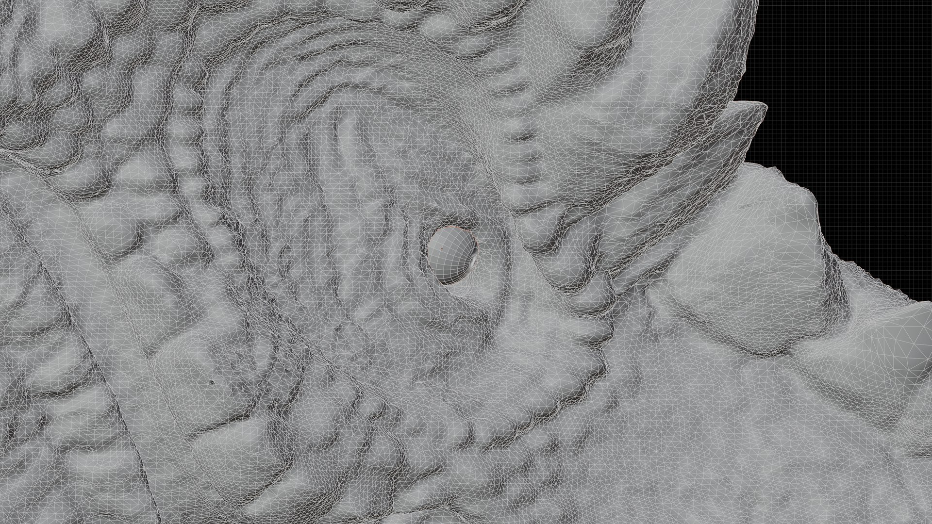 3D Hell Dragon https://p.turbosquid.com/ts-thumb/2E/YfBSl7/5V/12wireframe/jpg/1768273561/1920x1080/fit_q87/6a206edabe5decbf875aa4a5009ae7b605068fc3/12wireframe.jpg