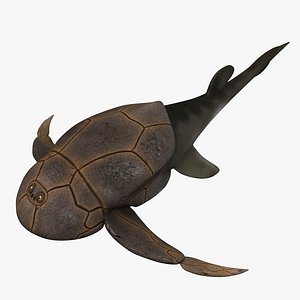 bothriolepis devonian 3d max