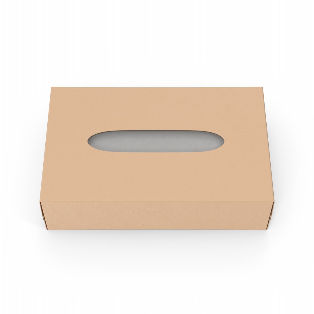Face Tissue Box model https://p.turbosquid.com/ts-thumb/2E/h6dJCX/Qd/brownfacetissuebox.d01.2k/png/1654884609/1920x1080/fit_q87/0a9fad3b0ad5516fb84076543473cde1dfbde309/brownfacetissuebox.d01.2k.jpg