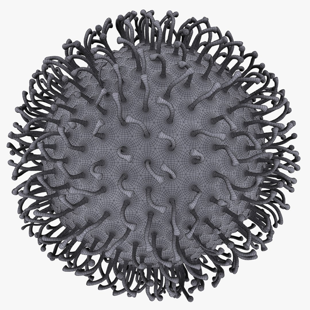 3d Micro Object Mht Model