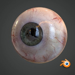realistic human eye pupil 3D model