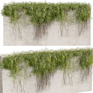 Collection plant vol 1019 V-ray 6 max 2015 3D model
