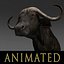 Pacote Animal Colossal HD - Animado1