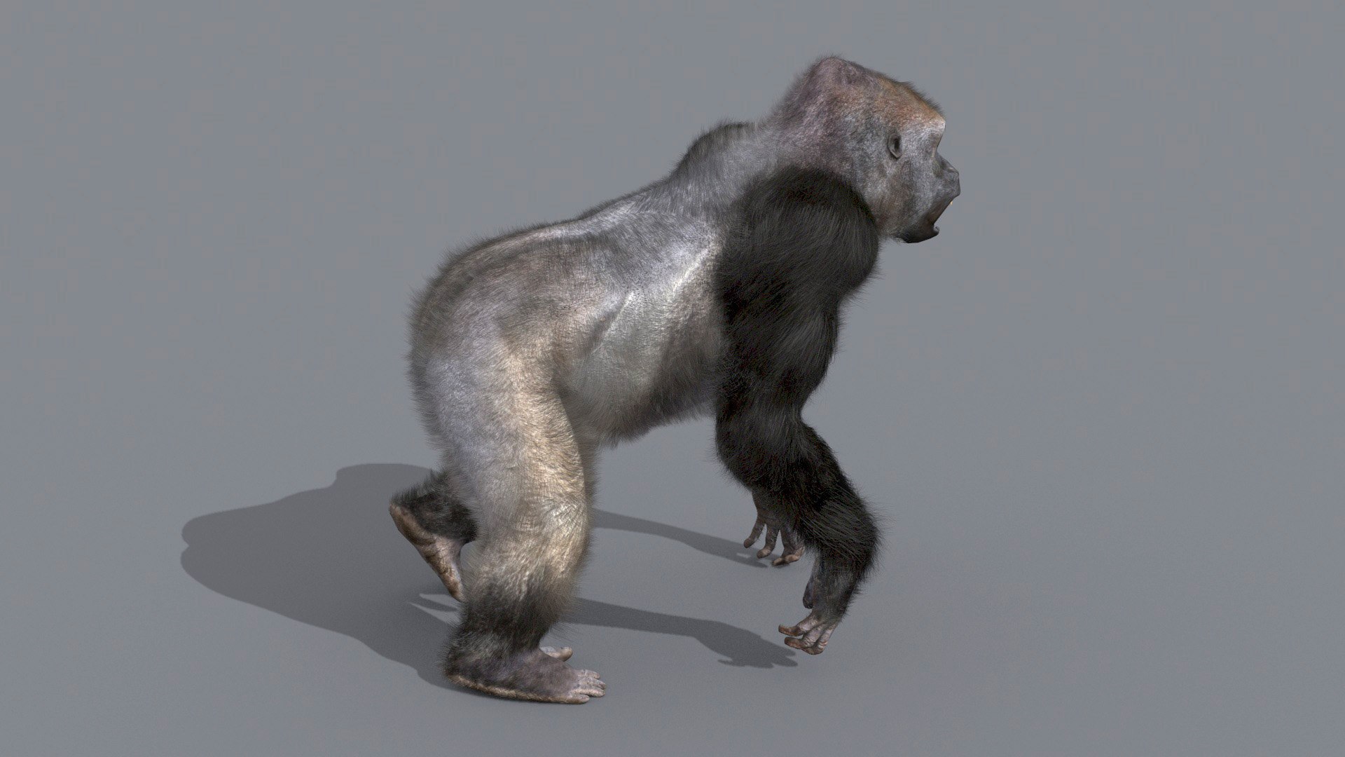 3D Colossal Animal Pack HD - Animated1 https://p.turbosquid.com/ts-thumb/2E/v8jgUP/0Q/101/jpg/1708457933/1920x1080/fit_q87/70fa28dc25da1f1b6a9a26099411d6d5ad654699/101.jpg