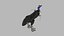 Pacote Animal Colossal HD - Animado1