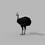 Pacote Animal Colossal HD - Animado1