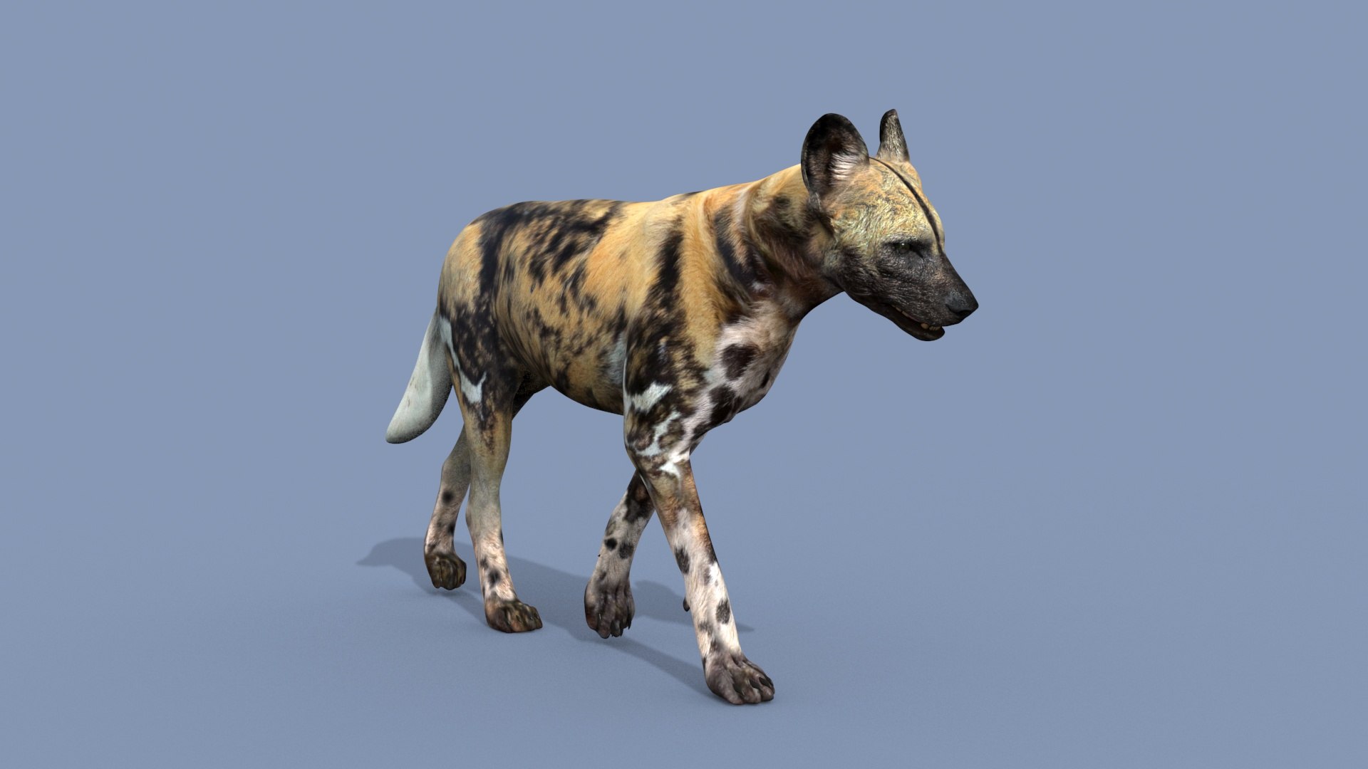 3D Colossal Animal Pack HD - Animated1 https://p.turbosquid.com/ts-thumb/2E/v8jgUP/39/2005/jpg/1708458125/1920x1080/fit_q87/df532e935dab71c18c692cf495706d647358d8df/2005.jpg