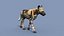 Pacote Animal Colossal HD - Animado1