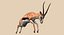 Pacote Animal Colossal HD - Animado1