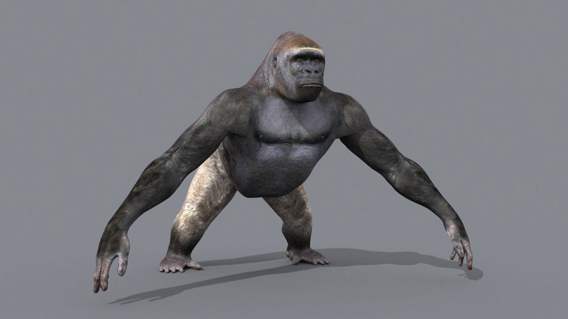 3D Colossal Animal Pack HD - Animated1 https://p.turbosquid.com/ts-thumb/2E/v8jgUP/3B/104/jpg/1708457935/1920x1080/fit_q87/a94655b30ff6b0bd4a7726e0fccaba815045b3b9/104.jpg