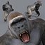 Pacote Animal Colossal HD - Animado1