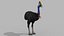 Pacote Animal Colossal HD - Animado1