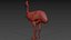 Pacote Animal Colossal HD - Animado1