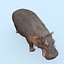 Pacote Animal Colossal HD - Animado1