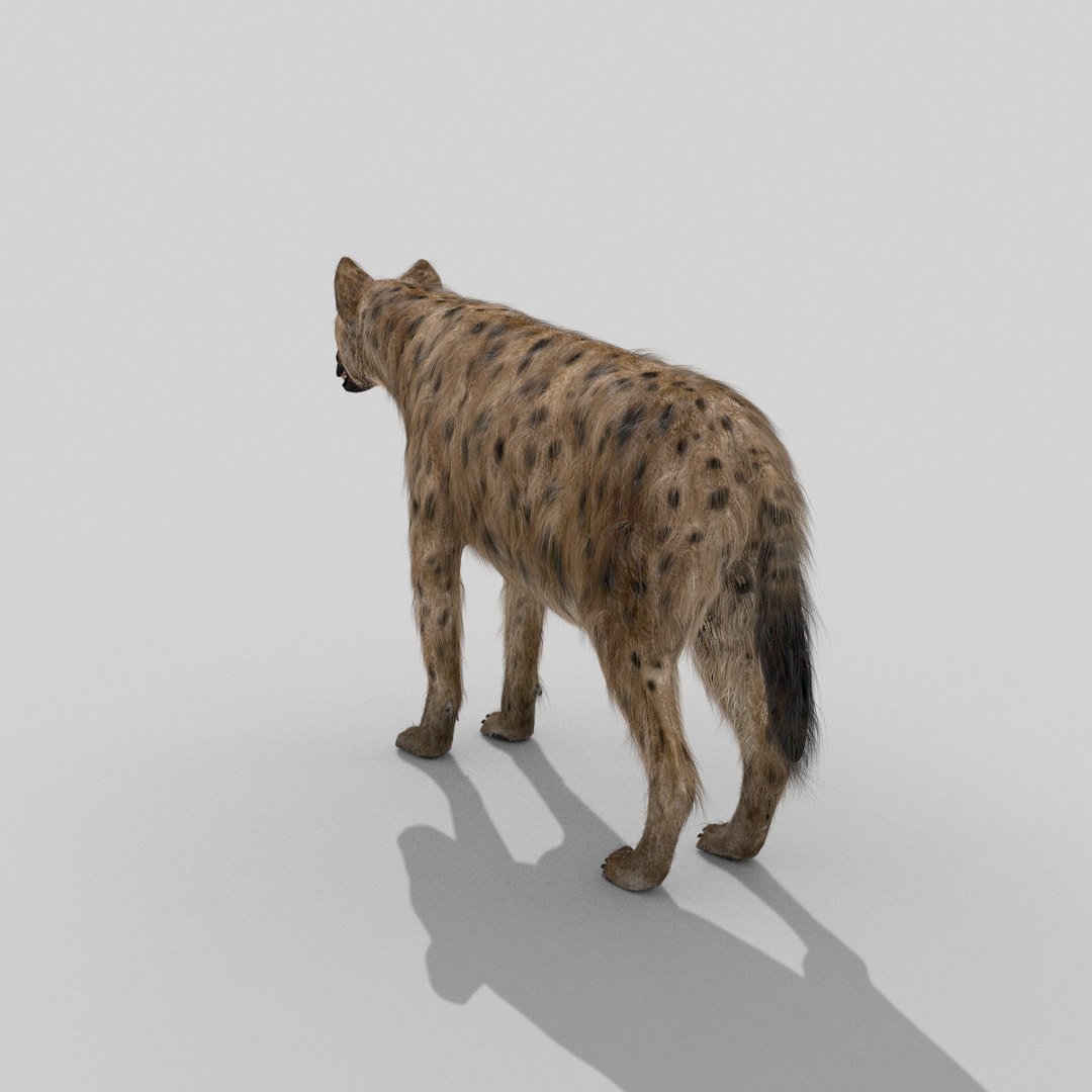 3D Colossal Animal Pack HD - Animated1 https://p.turbosquid.com/ts-thumb/2E/v8jgUP/5B/67/jpg/1662068984/1920x1080/fit_q87/52d9a7e483a90121072ae741e59385ddb4b1e859/67.jpg