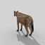 Pacote Animal Colossal HD - Animado1