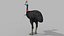 Pacote Animal Colossal HD - Animado1