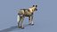 Pacote Animal Colossal HD - Animado1