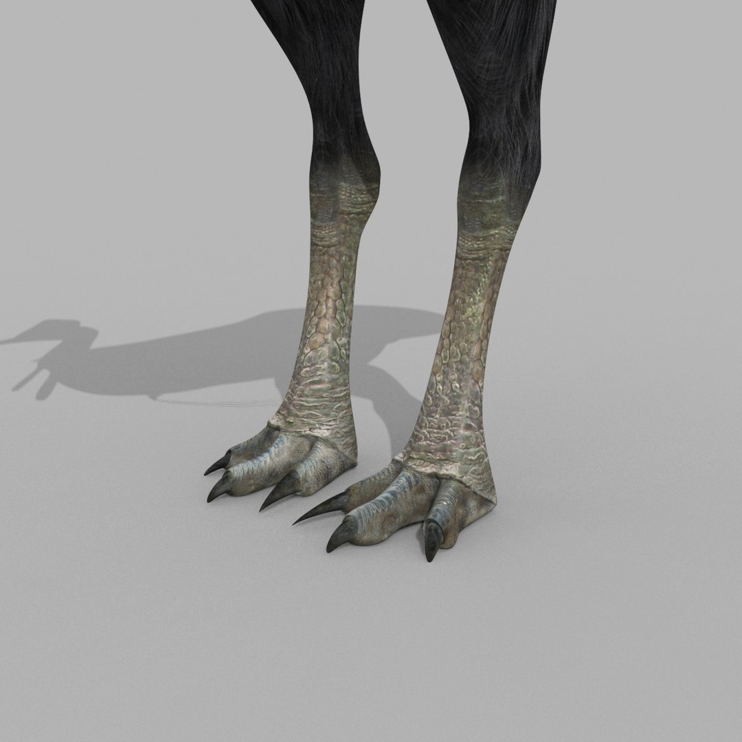 3D Colossal Animal Pack HD - Animated1 https://p.turbosquid.com/ts-thumb/2E/v8jgUP/7H/30010/jpg/1708458338/1920x1080/fit_q87/436c4a4f29929217a7546030d5066992a4077a17/30010.jpg