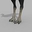 Pacote Animal Colossal HD - Animado1