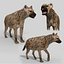 Pacote Animal Colossal HD - Animado1