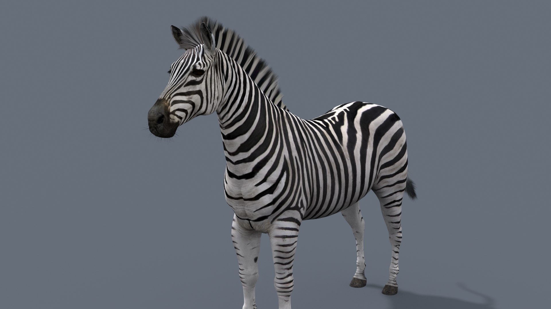 3D Colossal Animal Pack HD - Animated1 https://p.turbosquid.com/ts-thumb/2E/v8jgUP/8Z/42/jpg/1662066257/1920x1080/fit_q87/9f43571dd5fd7aa0e1e5ceb668783dd53e317989/42.jpg