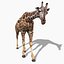Pacote Animal Colossal HD - Animado1