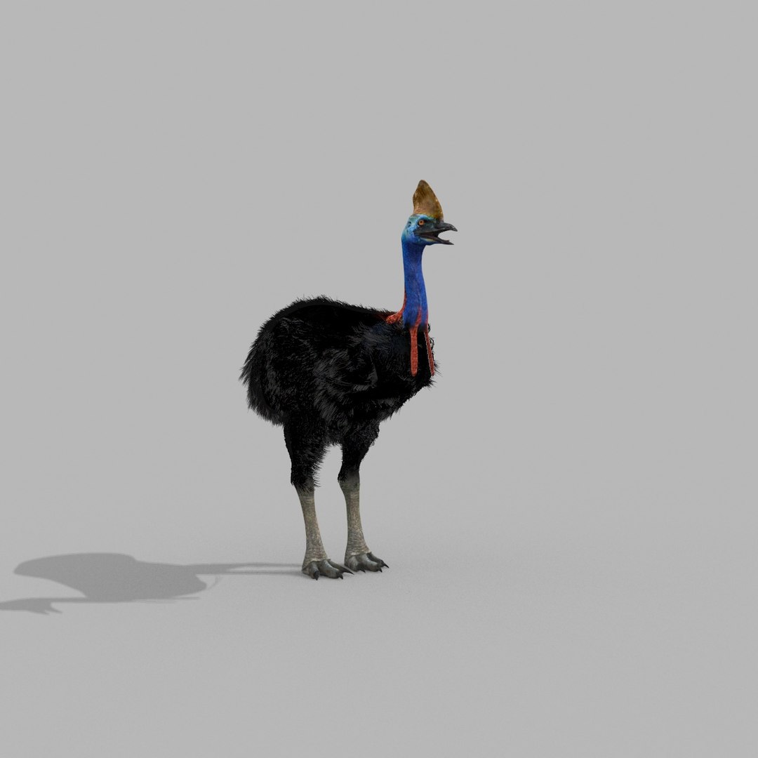 3D Colossal Animal Pack HD - Animated1 https://p.turbosquid.com/ts-thumb/2E/v8jgUP/9w/30015/jpg/1708458341/1920x1080/fit_q87/a9494c50a0bb6f52c552777cb2fb6a23987ee1d6/30015.jpg