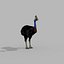 Pacote Animal Colossal HD - Animado1
