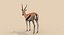 Pacote Animal Colossal HD - Animado1