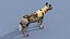 Pacote Animal Colossal HD - Animado1