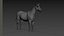Pacote Animal Colossal HD - Animado1