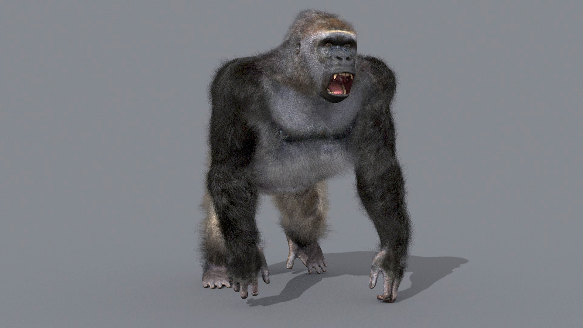 3D Colossal Animal Pack HD - Animated1 https://p.turbosquid.com/ts-thumb/2E/v8jgUP/FJ/99/jpg/1708457932/1920x1080/fit_q87/43a50e203eba66fb76bf98db48ad4874761e019c/99.jpg