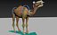 Pacote Animal Colossal HD - Animado1