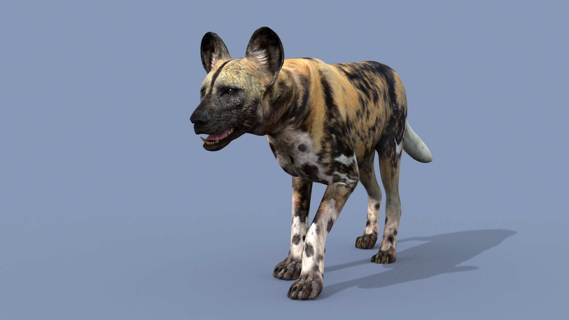 3D Colossal Animal Pack HD - Animated1 https://p.turbosquid.com/ts-thumb/2E/v8jgUP/GT/2008/jpg/1708458127/1920x1080/fit_q87/01b9ce82575c1dd41f0028404acdf36592506d47/2008.jpg