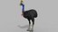 Pacote Animal Colossal HD - Animado1