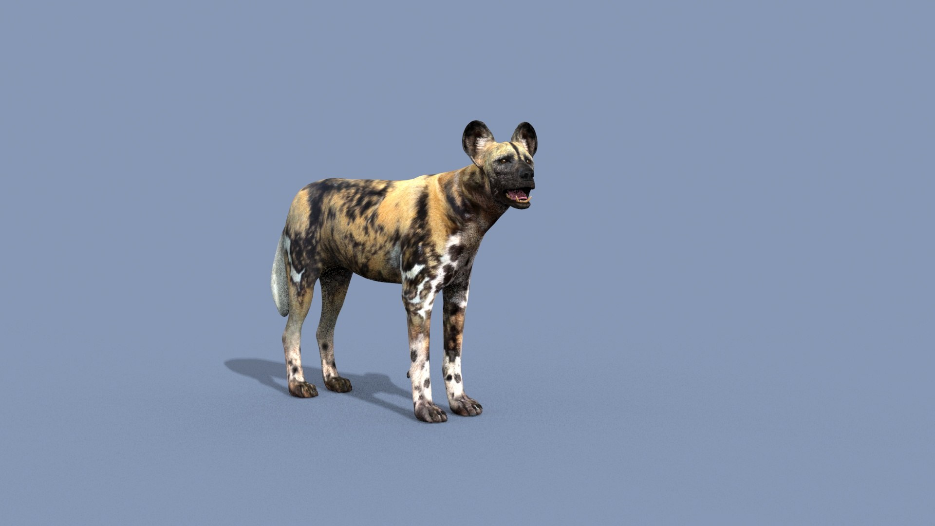 3D Colossal Animal Pack HD - Animated1 https://p.turbosquid.com/ts-thumb/2E/v8jgUP/Ig/20016/jpg/1708458130/1920x1080/fit_q87/872eb56e28db2d9d375f03bd7767ccee39054ff0/20016.jpg