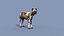 Pacote Animal Colossal HD - Animado1