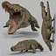 Pacote Animal Colossal HD - Animado1