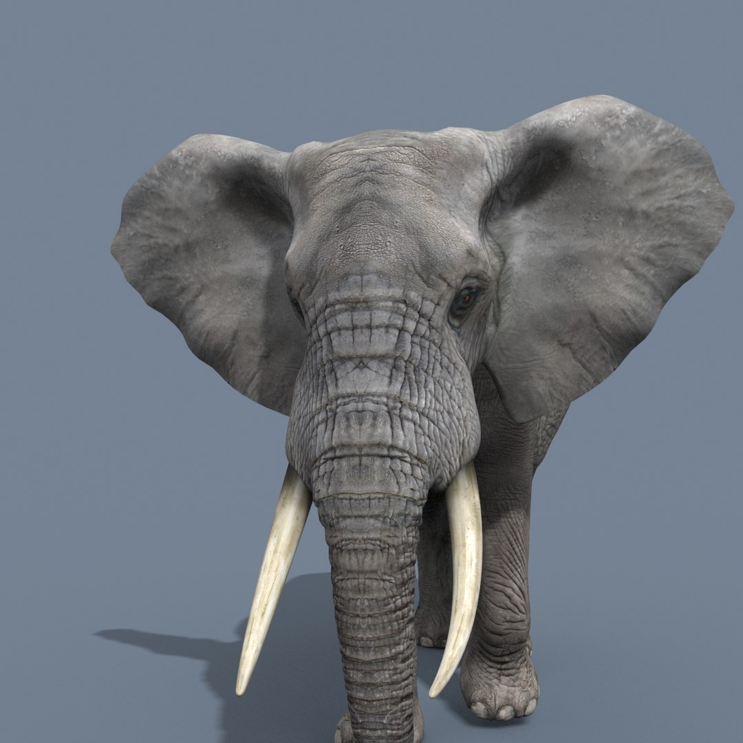 3D Colossal Animal Pack HD - Animated1 https://p.turbosquid.com/ts-thumb/2E/v8jgUP/LV/16/jpg/1662065949/1920x1080/fit_q87/2fea5feea866e6abcfd76613c49ba4c4b00a7cc1/16.jpg