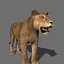 Pacote Animal Colossal HD - Animado1