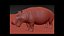 Pacote Animal Colossal HD - Animado1