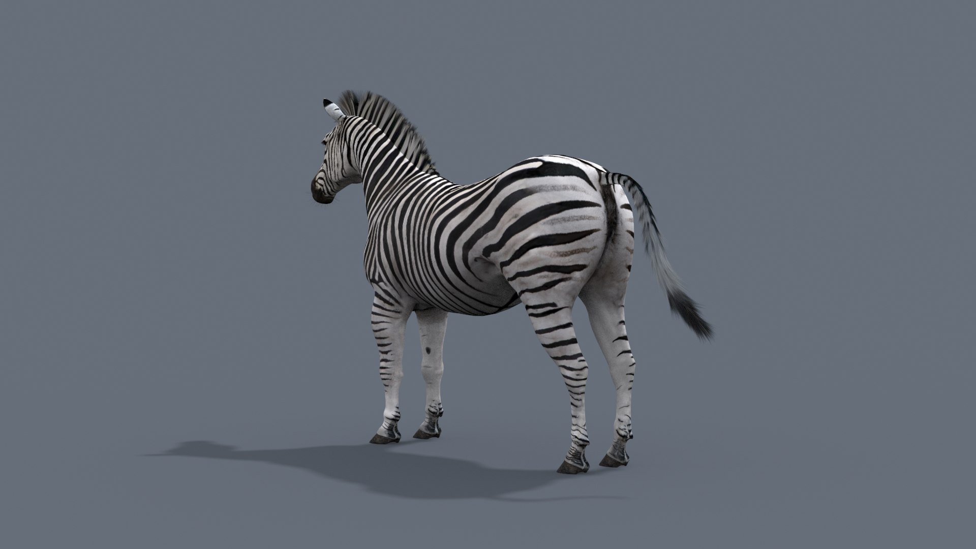 3D Colossal Animal Pack HD - Animated1 https://p.turbosquid.com/ts-thumb/2E/v8jgUP/OL/41/jpg/1662066230/1920x1080/fit_q87/a69fcf126eddae73c4129a8079b38c3732e76d51/41.jpg
