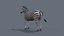 Pacote Animal Colossal HD - Animado1