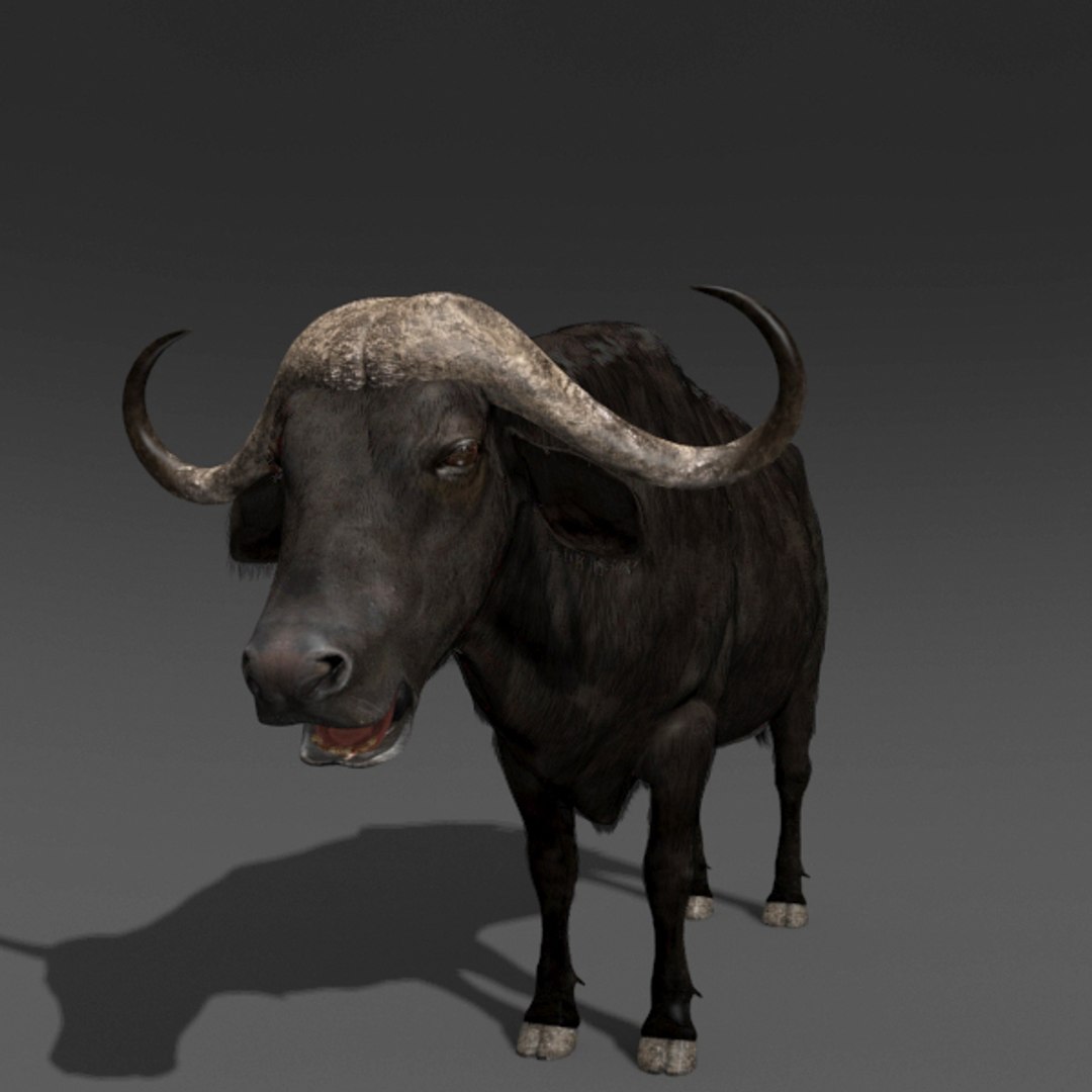 3D Colossal Animal Pack HD - Animated1 https://p.turbosquid.com/ts-thumb/2E/v8jgUP/Pf/71/jpg/1662068986/1920x1080/fit_q87/021eeadb8c937d9da95cb481817c4e0884d4eda6/71.jpg